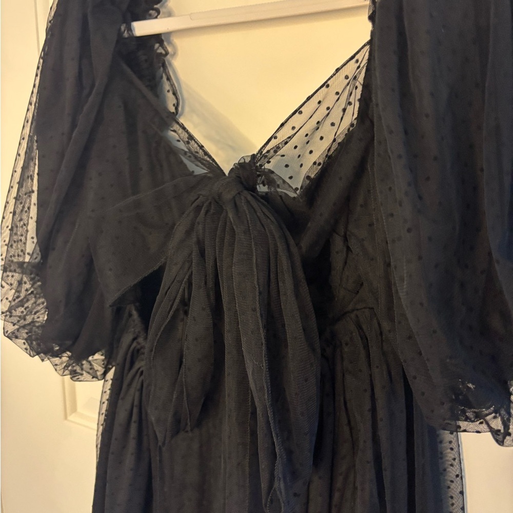 Windsor Black Polka Dot Sheer Dress - Picture 12 of 12